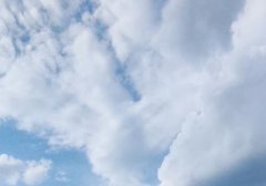 新手电商怎么合作快递(电商快递合作费用价格)