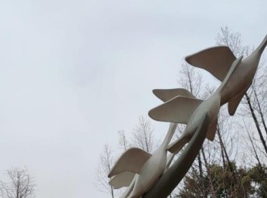 视频号直播间流量权重 微信视频号怎么提高直播间权重