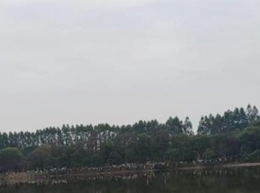 视频号直播间人气 视频号直播间人气如何提升