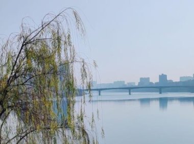 如何利用微信视频号直播卖货（微信视频号可以直播卖货吗）