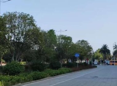 小红书个人运营成本 如何运营个人小红书过万粉