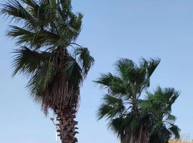 小红书攻略深度运营（小红书运营最详细的攻略）