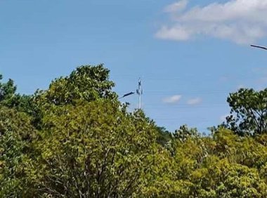 微信视频号收益怎么查看（收益明细的查看方法分享）