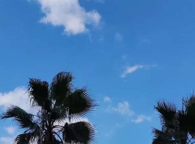 小红书蓝v怎么认证（如何成为蓝V）