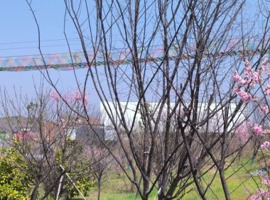 小红书账号权重怎么看 如何才能提高权重