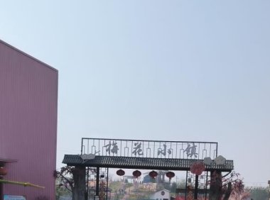 小红书专业号怎么养号（小红书养号步骤流程）