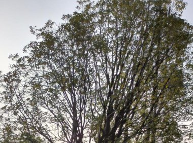 微信视频号怎么增加流量 视频号没有流量该怎么办