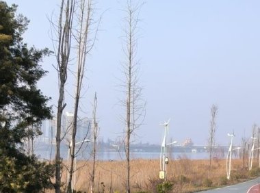 微信视频号直播推流机制 微信视频号直播推荐机制