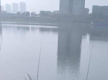 微信视频号直播带货技巧（微信视频号如何直播带货）