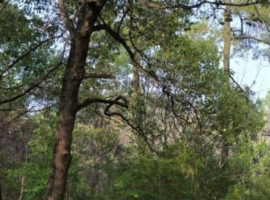 小红书运营必备规则介绍（小红书运营规则内容规则）