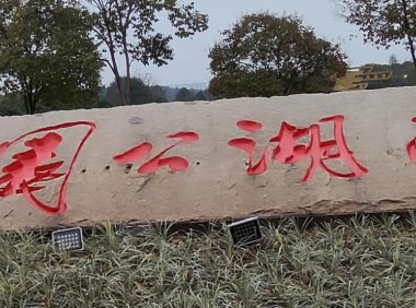 微信视频号怎么做直播（微信视频号直播操作流程）