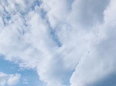 新手电商怎么合作快递(电商快递合作费用价格)