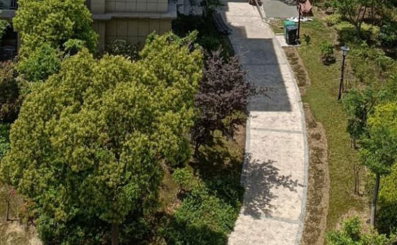 如何使用天猫新品查询工具？