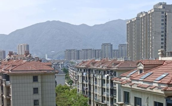 为什么无法申请阿里创作平台服务费发票?