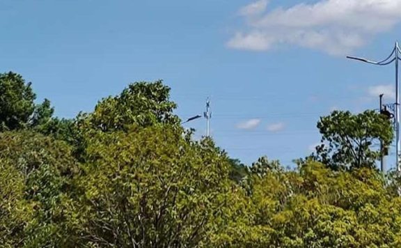 微信视频号收益怎么查看（收益明细的查看方法分享）