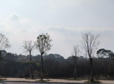 快递申请代理点需要多少钱(乡村快递代收点加盟)